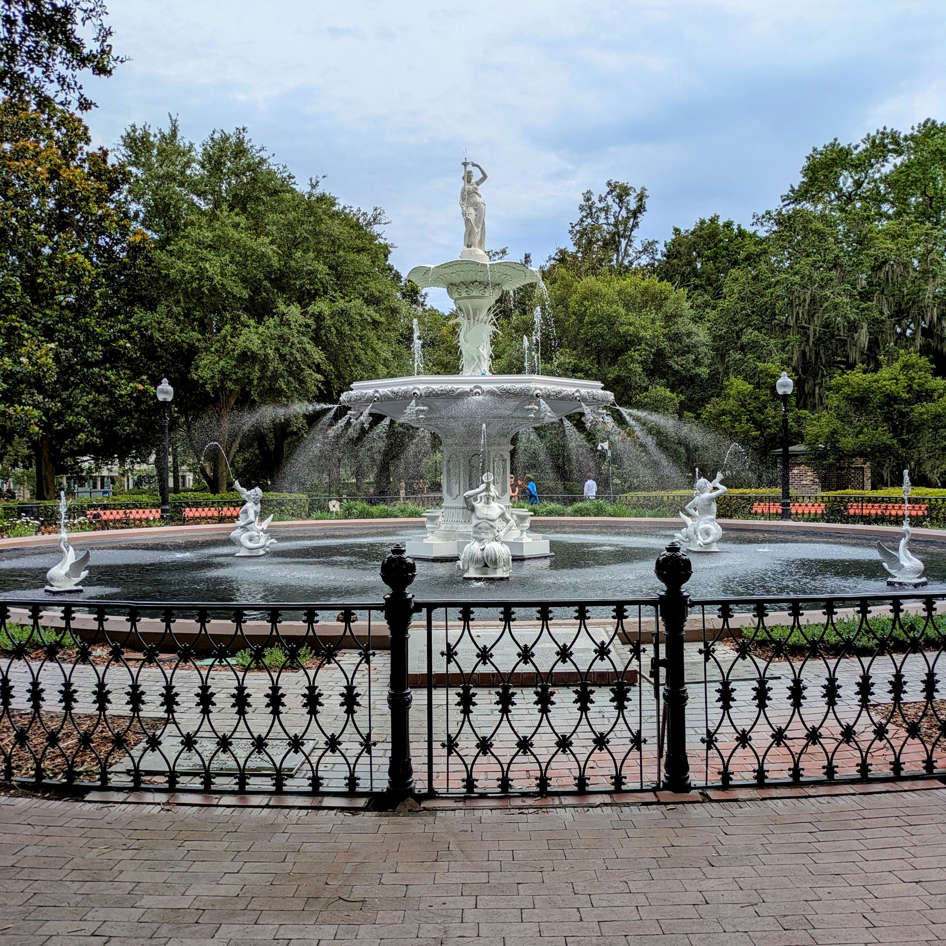 Savannah: A Hauntingly Beautiful Journey